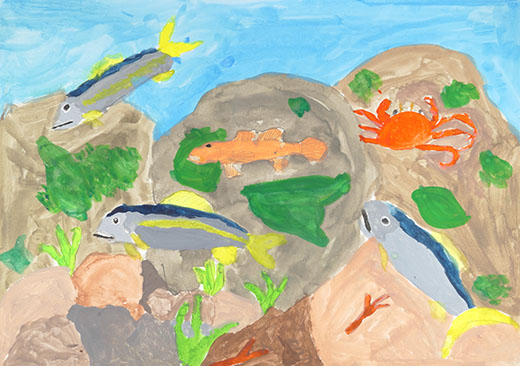 きれいな川の生物