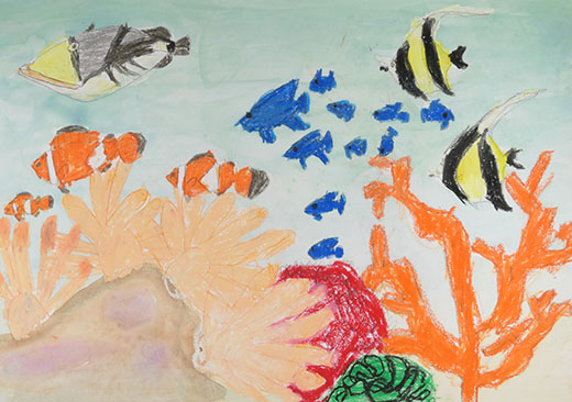 さんごとカラフル魚とエメラルドグリーン