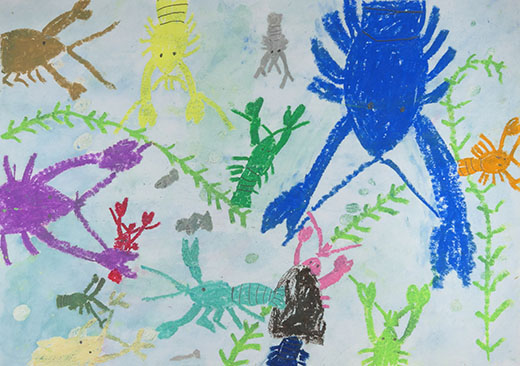 ザリガニの大切な遊び場