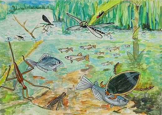 見てみたい水の生き物