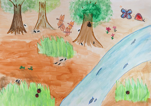 自然の中で暮らす虫達