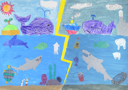 きれいなうみときたないうみ