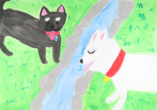 きれいな川と天然記念物