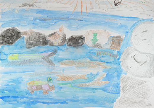 元気な魚ときれいな川