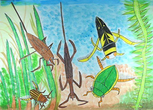 水の中にすんでいる虫