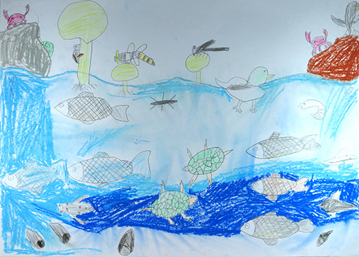 川にいっぱいの魚