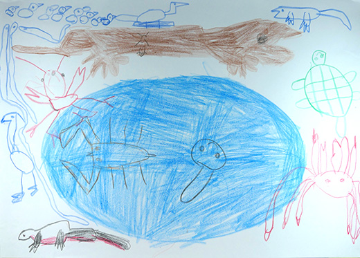 池の生き物たち大集合