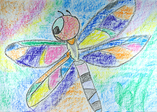 きれいな水のまわりには