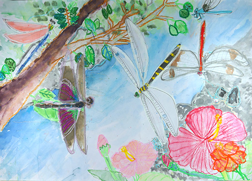 チョウトンボとオニヤンマがいる川