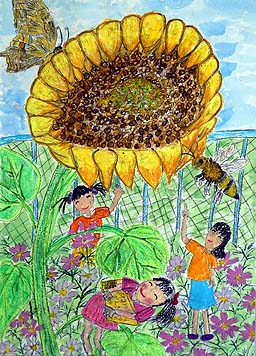 大きくそだったひまわり