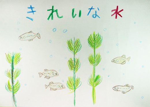 きれいな水にすむメダカ