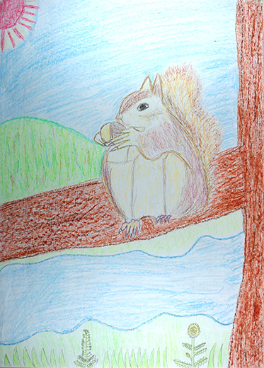 リスのすめる山