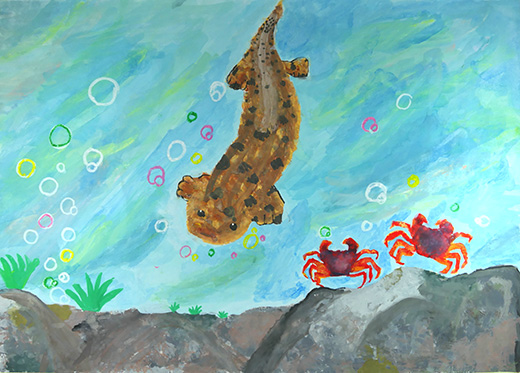 オオサンショウウオの合唱会