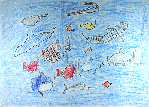 あつまれきれいなうみのさかなたち