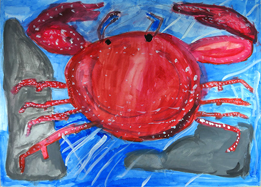 きれいな川のサワガニ