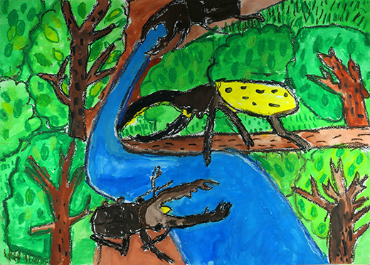 水をのんで元気になったクワガタたち