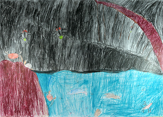 きれいな水にしか生息していない生物