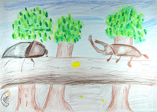 カブト虫の夫婦