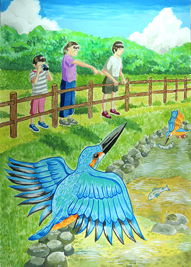 大好きなカワセミが来る川