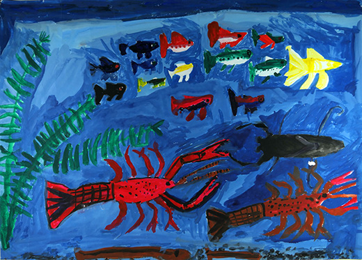 きれいな水と生き物