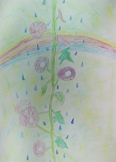 あさがおのえがお