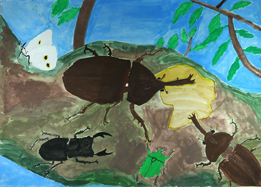 森にすんでいる虫たち