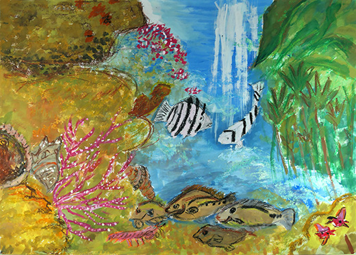 海の生き物たち