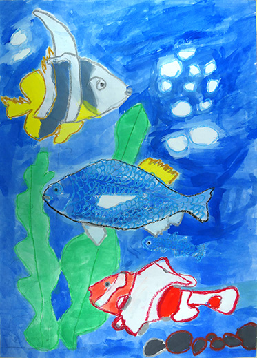 うみのしぜんをたのしもう