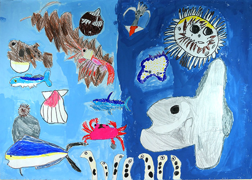 海の中の生きもの