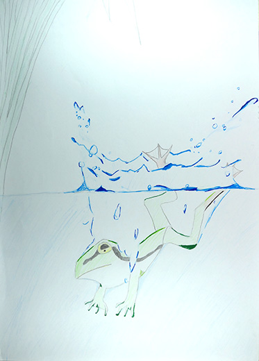 きれいな水へダイブ