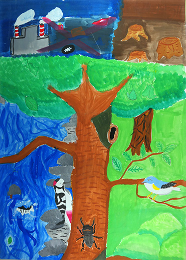 水や生き物、空気を大切にしよう