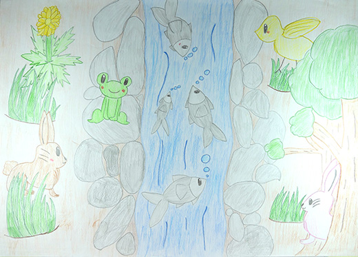 森の川と動物たち