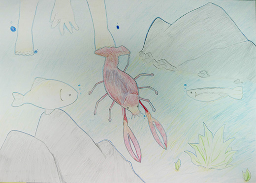 川に生きている生き物