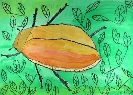 キャンプ場で見つけてつかまえたコフキコガネ