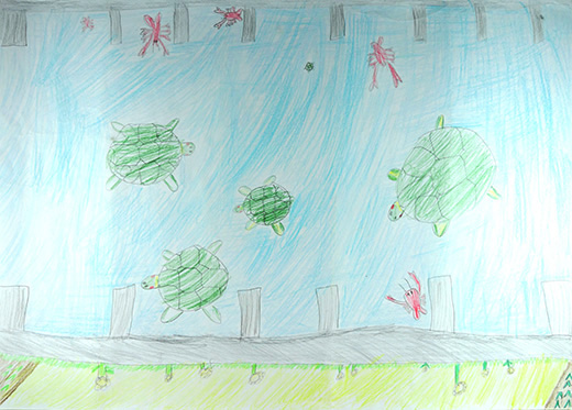 ザリガニやかめのすがた