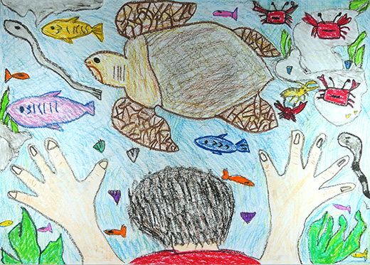 うみのなかをのぞいたよ