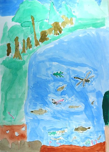 上流の川の生き物