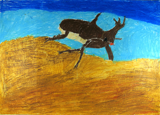 ぼくのカブトムシ