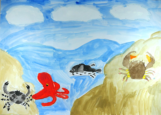 岩場の海岸・海中の生き物