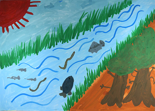 きれいな川　きれいな魚