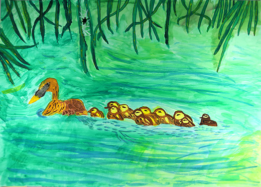 カルガモの親子