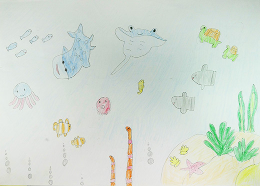 きれいな水のおかげで生きられる海の中の世界