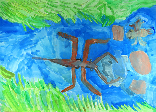 川がきれいでうれしいな