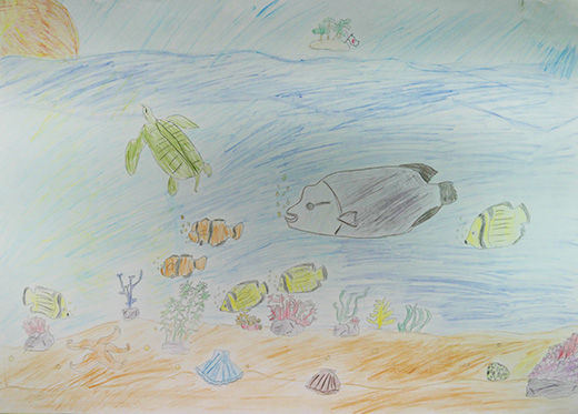 きれいな日本の海