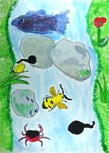 川で色んな生き物みぃつけた！