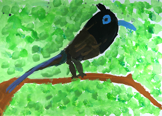 三光鳥（サンコウチョウ）