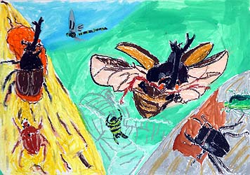 大好き　カブトムシ