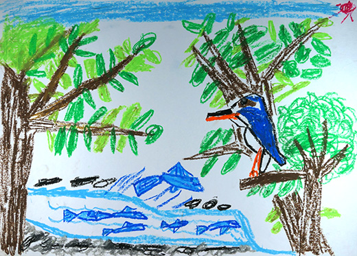 カワセミが魚をとるしゅんかん