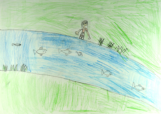 きれいな川と魚たち