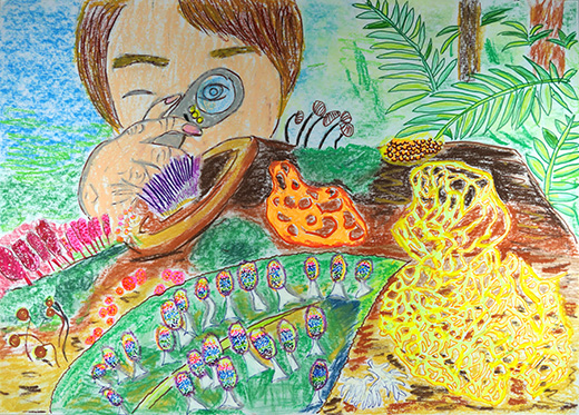 粘菌だってきれいな空気や水がすき